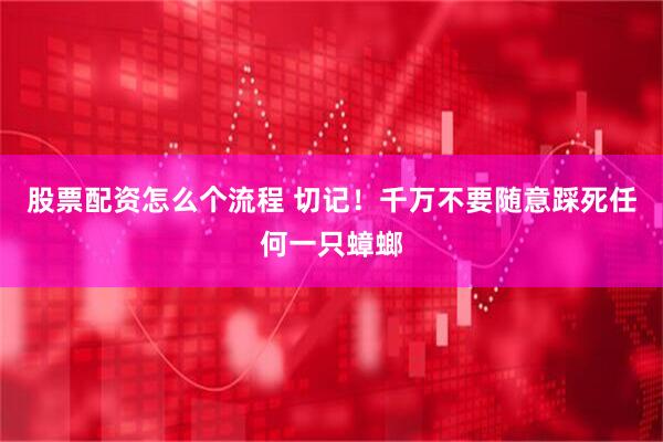 股票配资怎么个流程 切记！千万不要随意踩死任何一只蟑螂